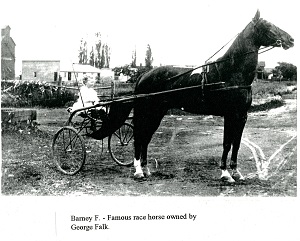 Famous Race Horse - Barney F.